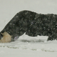 US goalkeeper Brad Guzan eats some snow and makes a save.